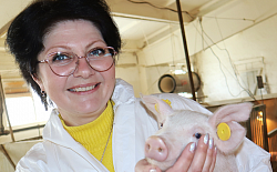 Елена Сова: как физик из Донецка возглавила свиноводческий комплекс липецкого агрохолдинга «Мокрое»